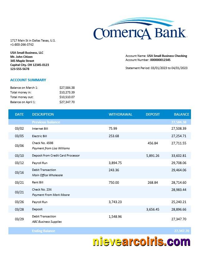 Comerica Bank business statement